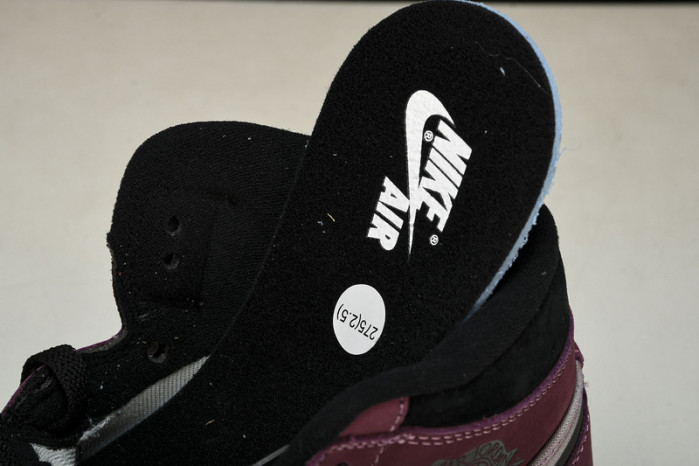 air jordan 1 high element gore-tex