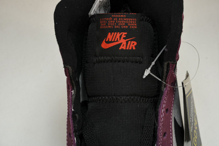 air jordan 1 high element gore-tex