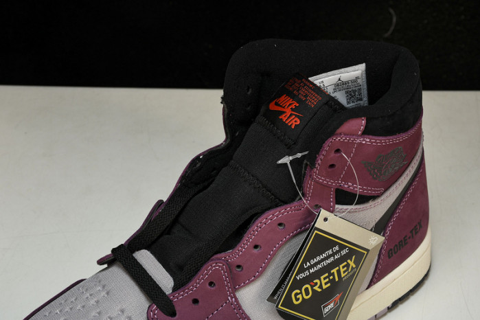 air jordan 1 high element gore-tex