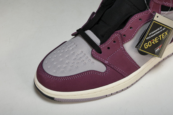 air jordan 1 high element gore-tex