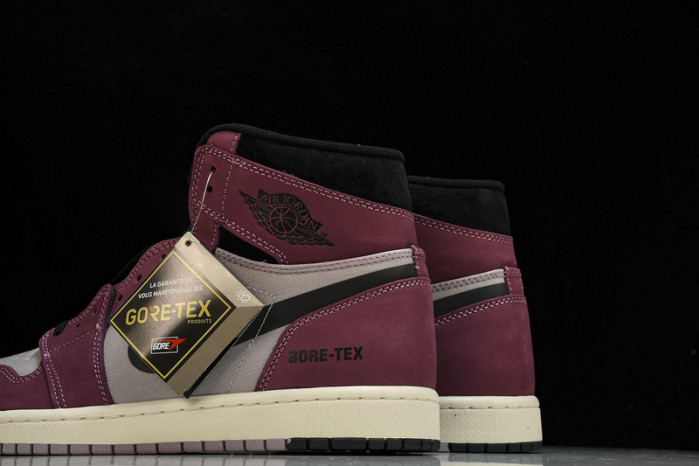 air jordan 1 high element gore-tex