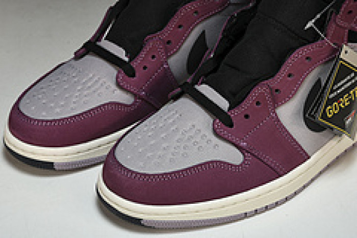 air jordan 1 high element gore-tex