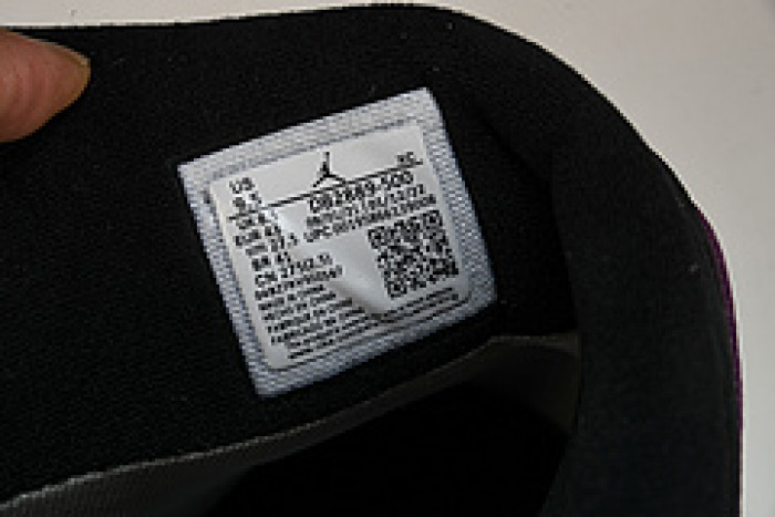 air jordan 1 high element gore-tex