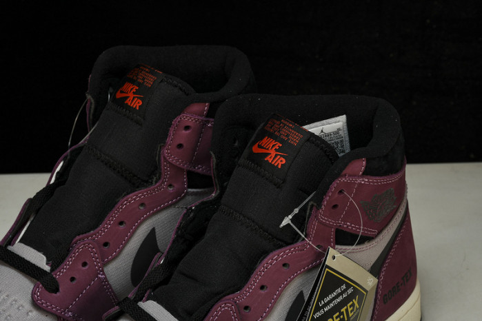 air jordan 1 high element gore-tex
