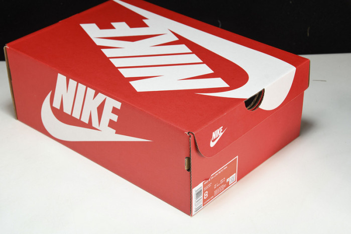 dunk low sb