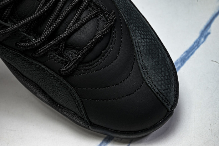 Air Jordan 12 “Bloodline” CT8013-003