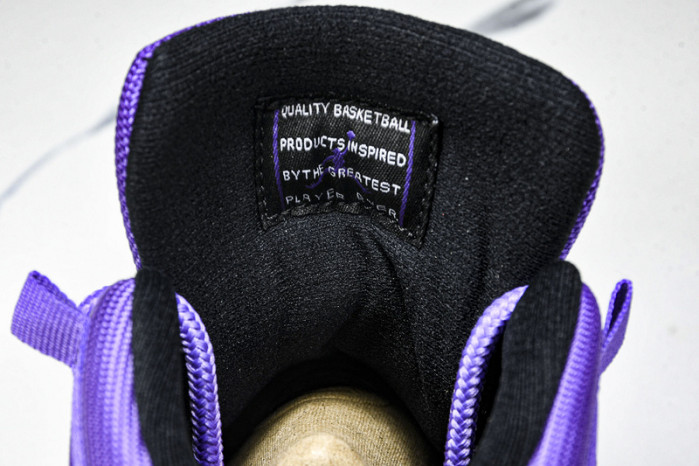 Air Jordan 11 CT8012-5001