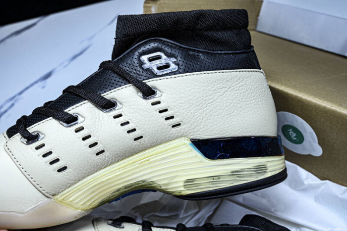 Infinite Archives x Air Jordan Air 17 Retro Low 